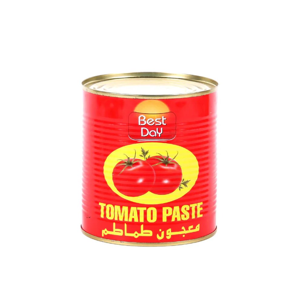 Best Day Tomato Paste China 210g is a premium product available at best price in Pakistan at Elite Grocery Store